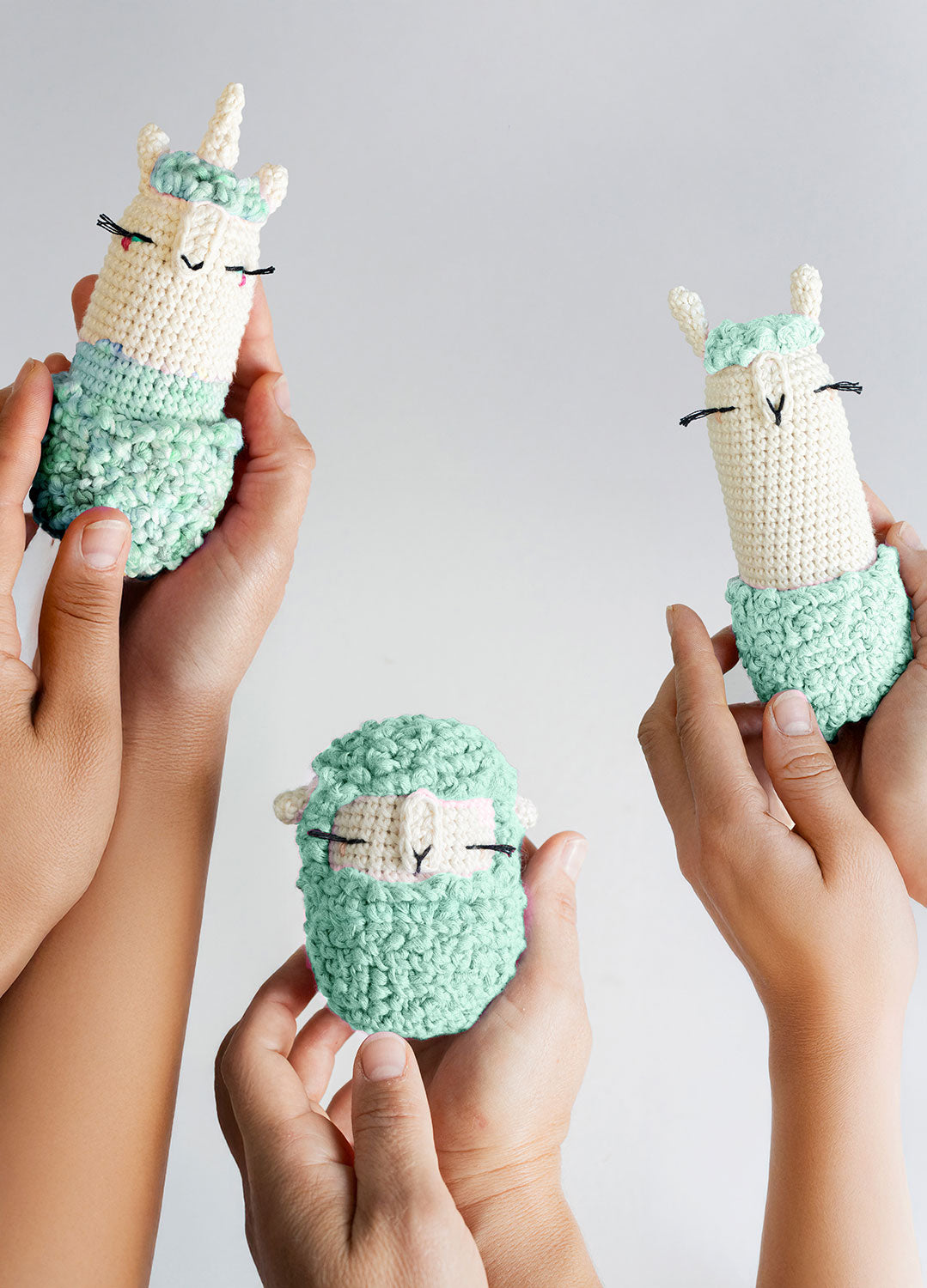 Amigurumis by @lalylaland Bundle Kit - preorder